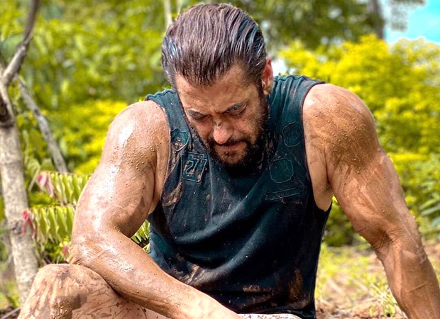 WATCH Salman Khan starts farming, drives a tractor around the field
