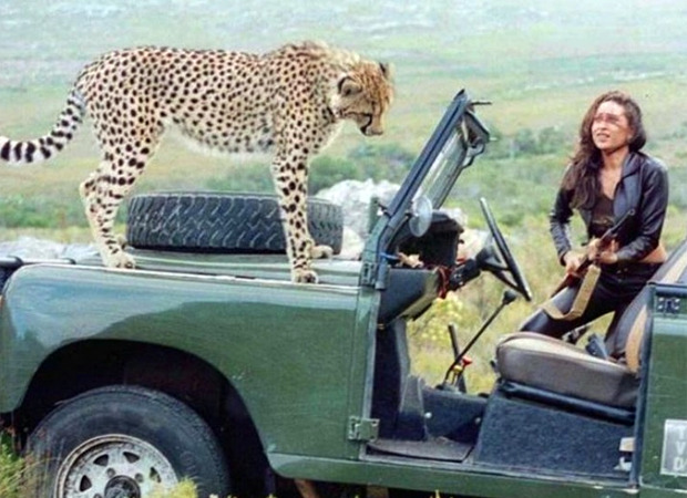 Karisma Kapoor remembers the time when she shot with a real Cheetah
