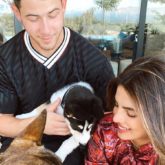 Priyanka Chopra Jonas and Nick Jonas rescue a husky, name him Panda