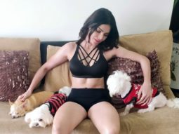 Sherlyn Chopra sizzles in a bikini; shares a video with her adorable dogs