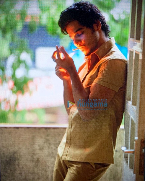 khaali peeli 1 2