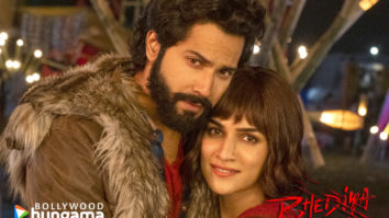 Movie Wallpapers Of The Movie Bhediya