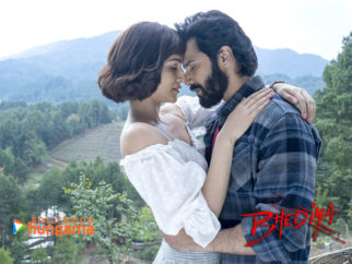 Movie Wallpapers Of The Movie Bhediya