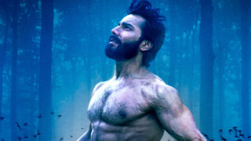 Movie Wallpapers Of The Movie Bhediya