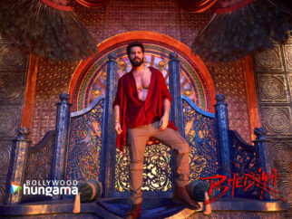 Movie Wallpapers Of The Movie Bhediya