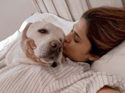 Jennifer Winget wishes her pet pupper, Breezer, on his birthday with the cutest pictures!
