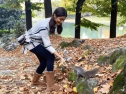 Pooja Hegde feeds nuts to a squirrel after four failed attempts amid shooting Radhe Shyam in Italy 