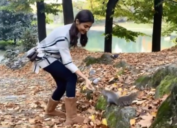 Pooja Hegde feeds nuts to a squirrel amid shooting Radhe Shyam in Italy 