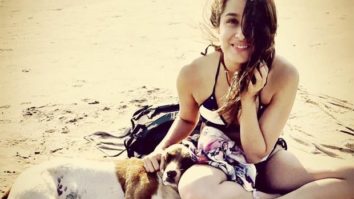 World Animal Day 2020: Here’s how Shraddha Kapoor has used her voice to speak for the animal rights