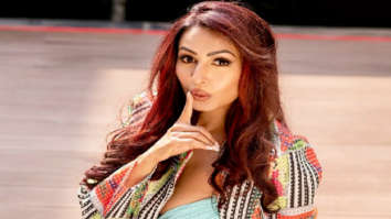 Celebrity Photos of Kashmera Shah
