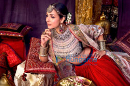 Celebrity Photos of Malaika Arora