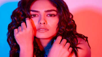 Celebrity Photo Of Mrunal Thakur