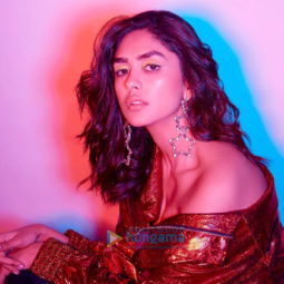 Celebrity Photo Of Mrunal Thakur