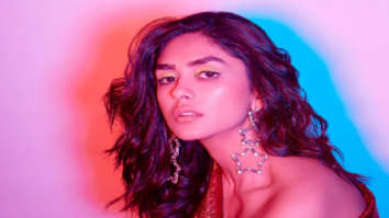 Celebrity Photo Of Mrunal Thakur