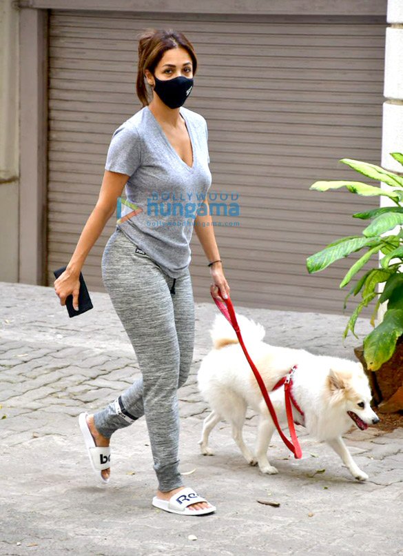 photos malaika arora and sophie choudry spotted with their pets for a walk 2