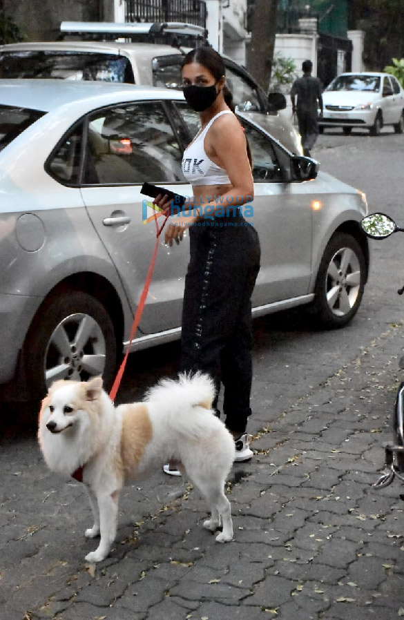 photos malaika arora snapped with her pet in bandra 2 2
