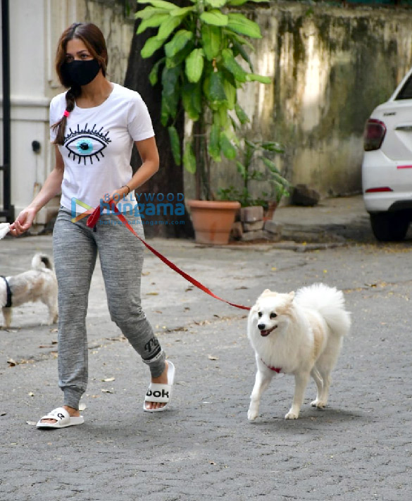 photos malaika arora snapped with her pet in bandra 3