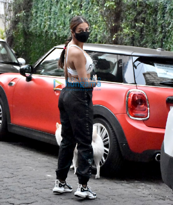 Photos: Malaika Arora snapped with her pet in Bandra Photos: Malaika Arora snapped with her pet in Bandra