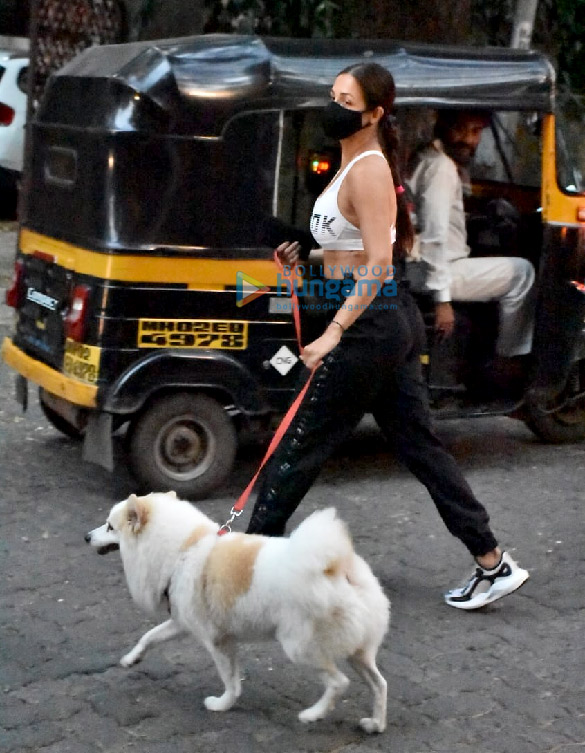 photos malaika arora snapped with her pet in bandra 6 2
