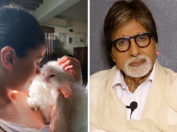 Alia Bhatt shares a picture with her muse; Amitabh Bachchan comments ‘he does not like cats and that it will upset many ladies’