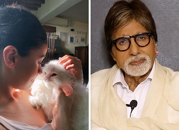 Alia Bhatt shares a picture with her muse; Amitabh Bachchan comments ‘he does not like cats and that it will upset many ladies'