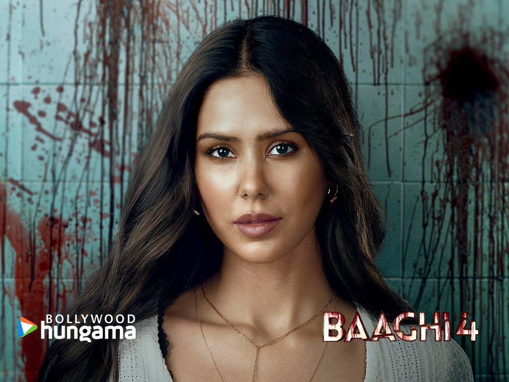 Baaghi (2016 film) visual data 7