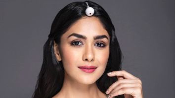 Celebrity Photo Of Mrunal Thakur