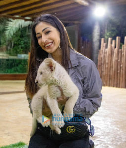 Celeb Photos Of Raai Laxmi
