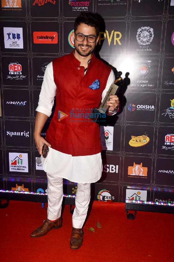 photos celebs grace the dadasaheb phalke international film festival awards2 3