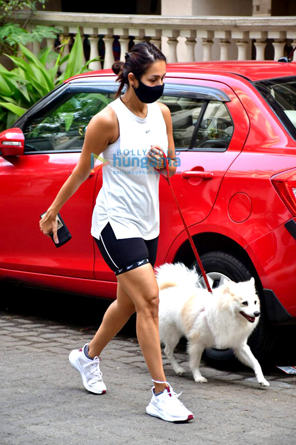 photos malaika arora spotted with her pet for morning walk 2 2