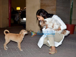 Photos: Sophie Choudry spotted in Bandra playing with a street dog