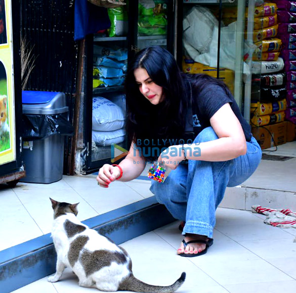 photos zareen khan spotted at a pet store 1