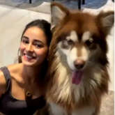 VIDEO Ananya Panday makes a new furry friend on the sets of Liger