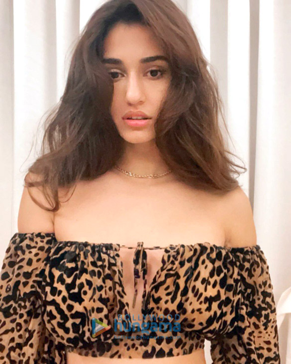 disha patani 94