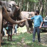 Rana Daggubati shares how the Elephants helped him perform on the sets of Haathi Mere Saathi