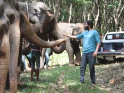 Rana Daggubati shares how the Elephants helped him perform on the sets of Haathi Mere Saathi