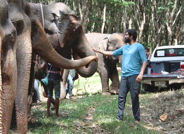 Rana Daggubati shares how the Elephants helped him perform on the sets of Haathi Mere Saathi