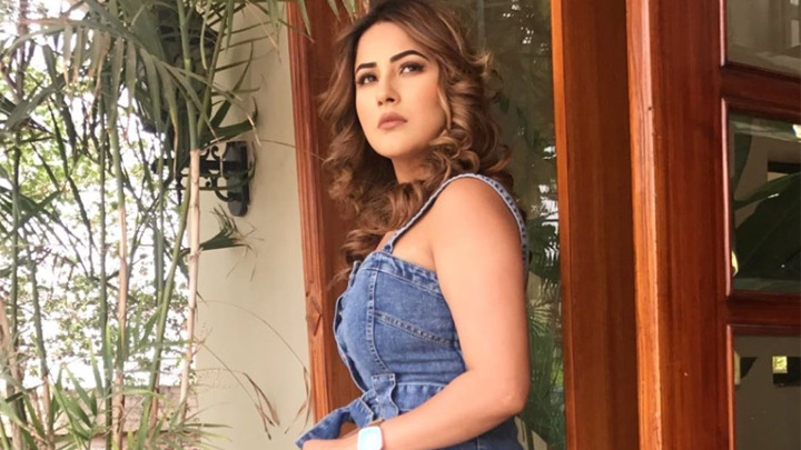 Why Shenaaz Gill NEVER gives a befitting reply to HATERS? She finally REVEALS | Fan Questions Why Shenaaz Gill NEVER gives a befitting reply to HATERS? She finally REVEALS | Fan Questions