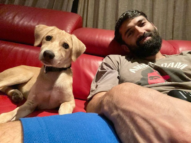 Aditya Roy Kapur adopts a cute dog, shares adorable picture