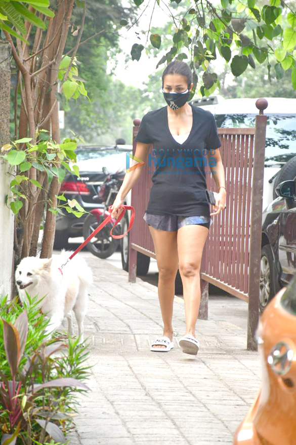 Photos: Malaika Arora spotted with her pet for morning walk Photos: Malaika Arora spotted with her pet for morning walk