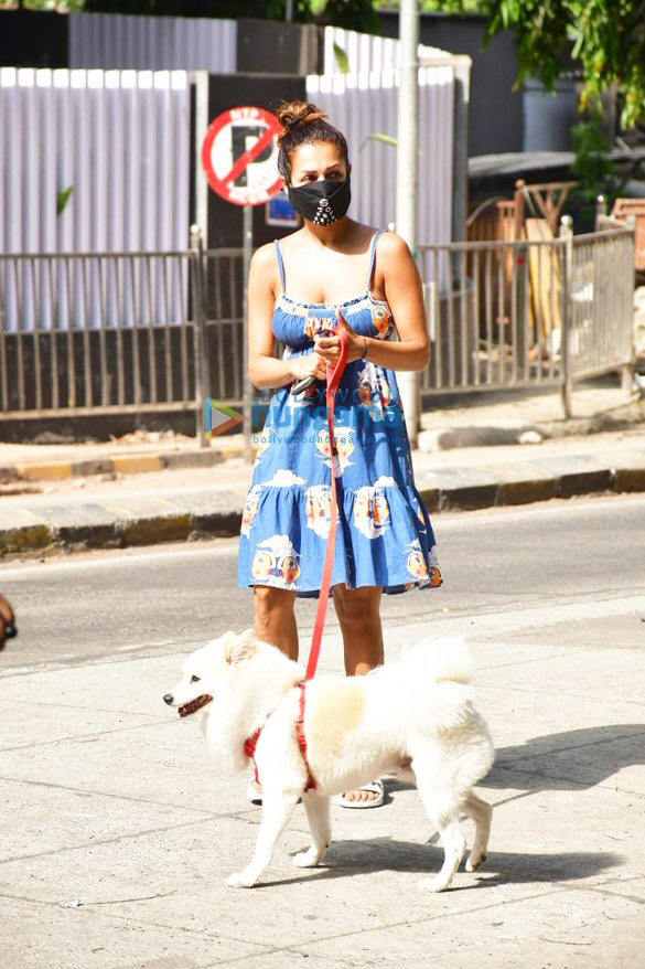 Photos: Malaika Arora spotted with her pet for morning walk Photos: Malaika Arora spotted with her pet for morning walk
