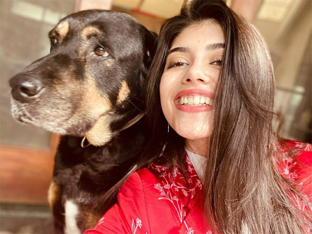 Sanjana Sanghi shares the joyful experience of having 5 pet dogs at her home Sanjana Sanghi shares the joyful experience of having 5 pet dogs at her home