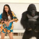 Shraddha Kapoor shakes a leg with ToTo the Gorilla from Hello Charlie; watch