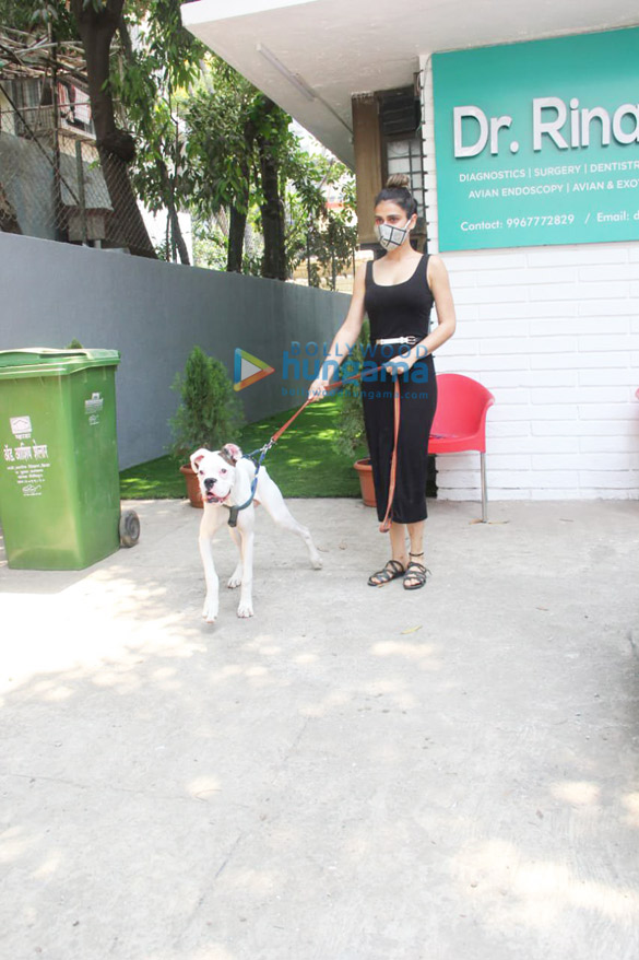 photos fatima sana shaikh spotted at a pet clinic 3 2