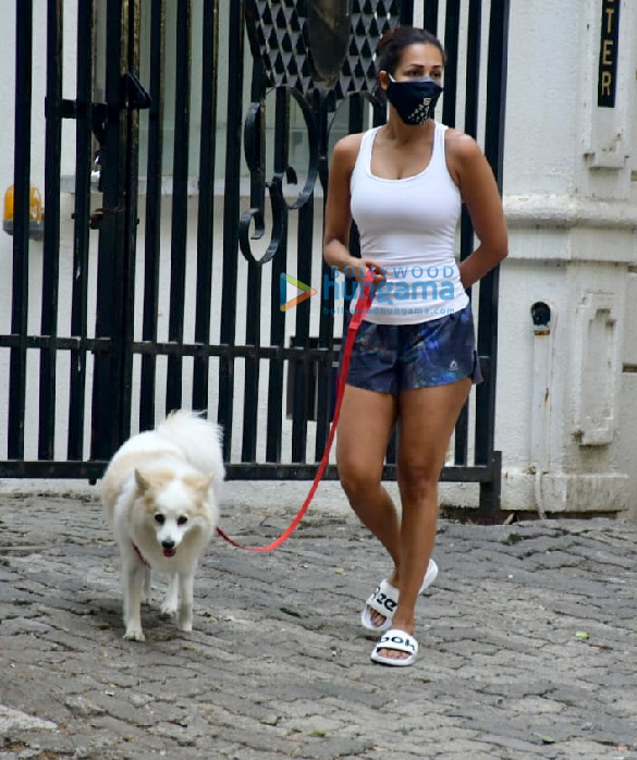 Photos: Malaika Arora spotted with her pet