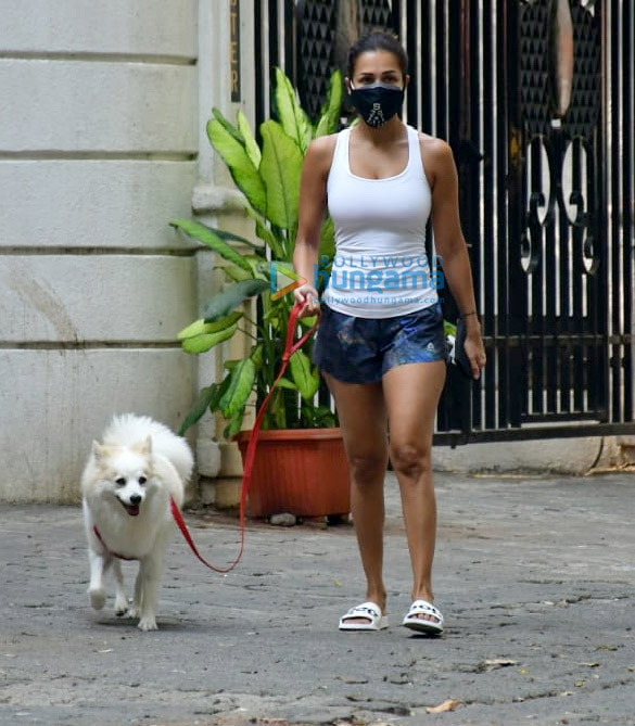 photos malaika arora spotted with her pet 3