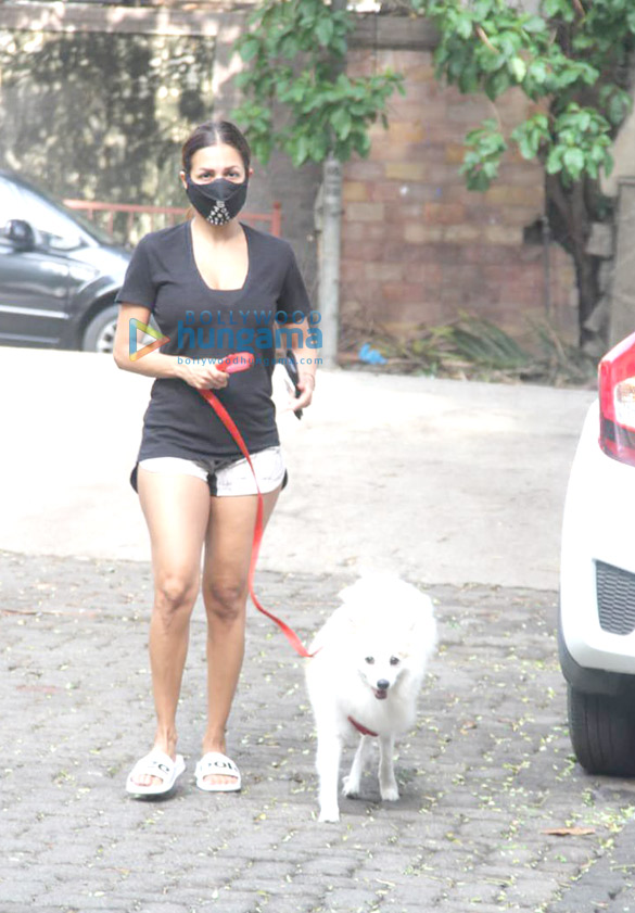 photos malaika arora spotted with her pet on a morning walk 1 2