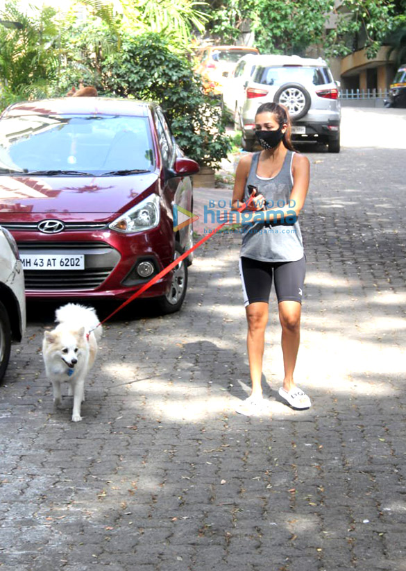 photos malaika arora spotted with her pet on a morning walk 1 3