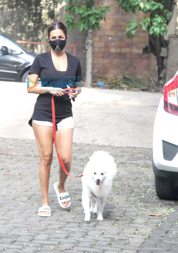 photos malaika arora spotted with her pet on a morning walk 3 2