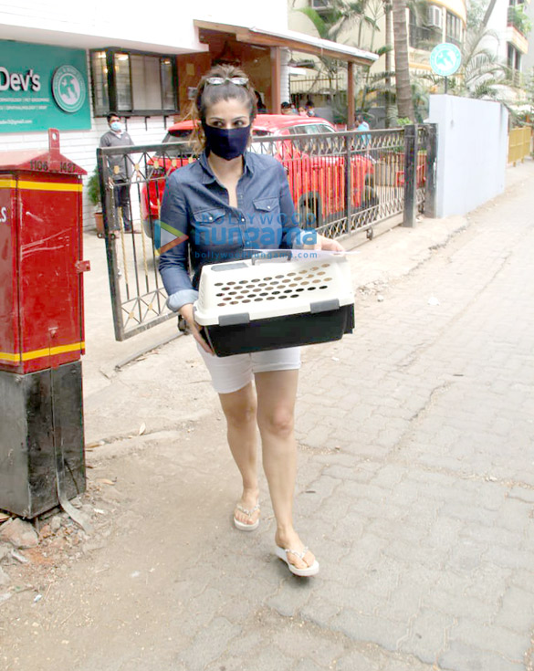 photos raveena tandon spotted at a pet clinic in khar 3